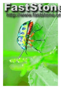 Flexispy Funciona De Verdad